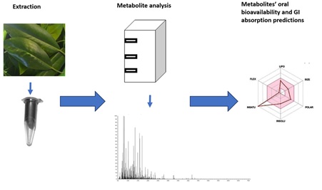 Bruguirea gymnorrhyza Leaf Extract Metabolites: Oral Bioavailability and GI Absorption Predictions