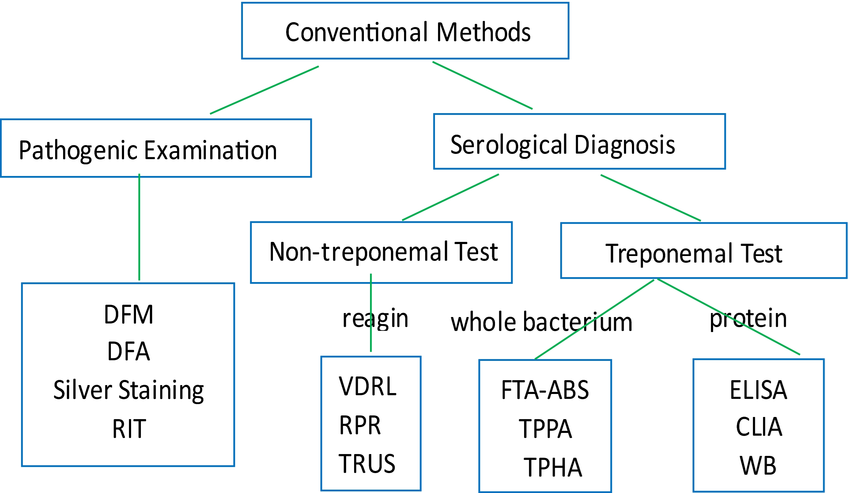 Which Manifestation Indicates Tertiary Syphilis: Key Signs
