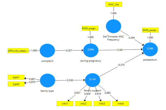 The Role of Family Social Support on Prenatal and Postpartum Depression ...