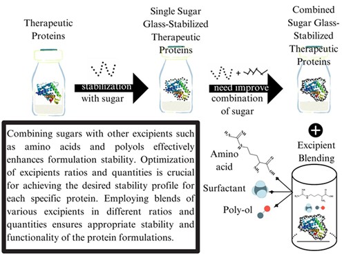 Impact of Excipients Blending on Sugar-Stabilized Therapeutic Proteins